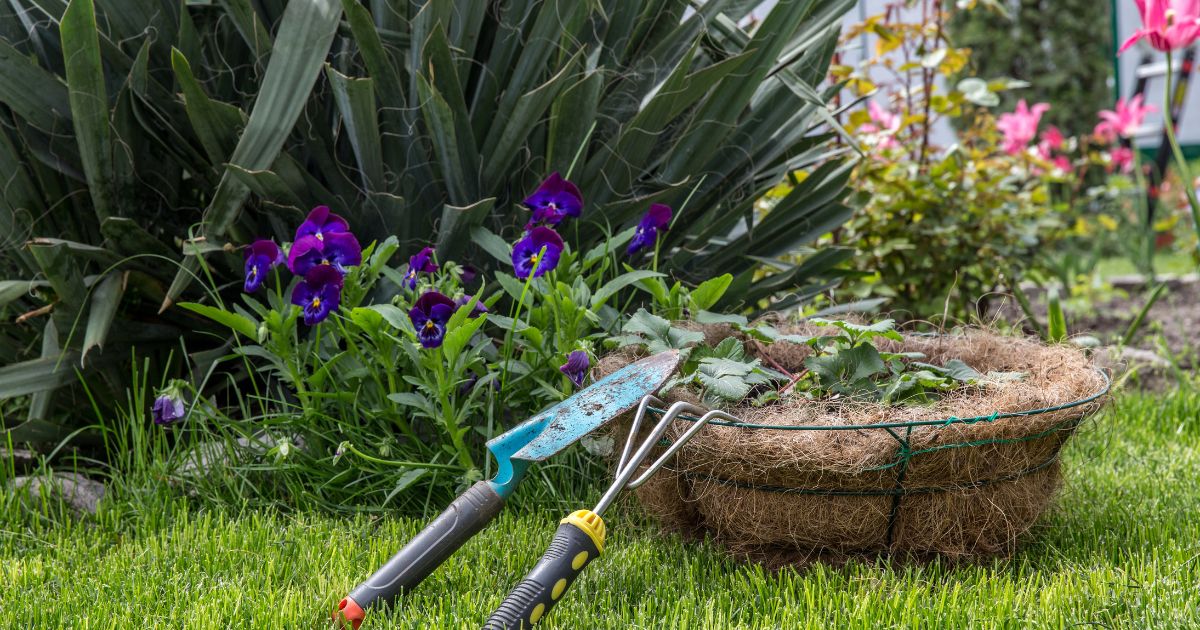 Bien-être. Cinq bonnes raisons de se mettre au jardinage