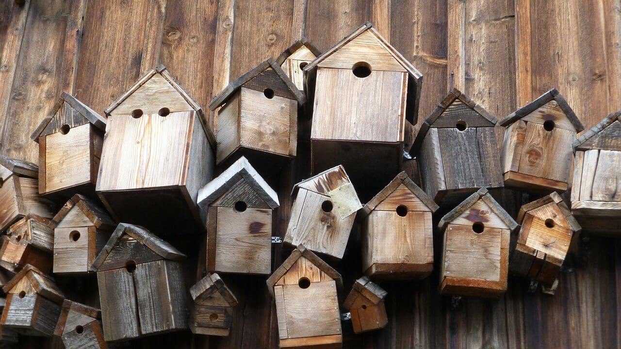 Fabriquez un nichoir pour les oiseaux du jardin - DIY maison à