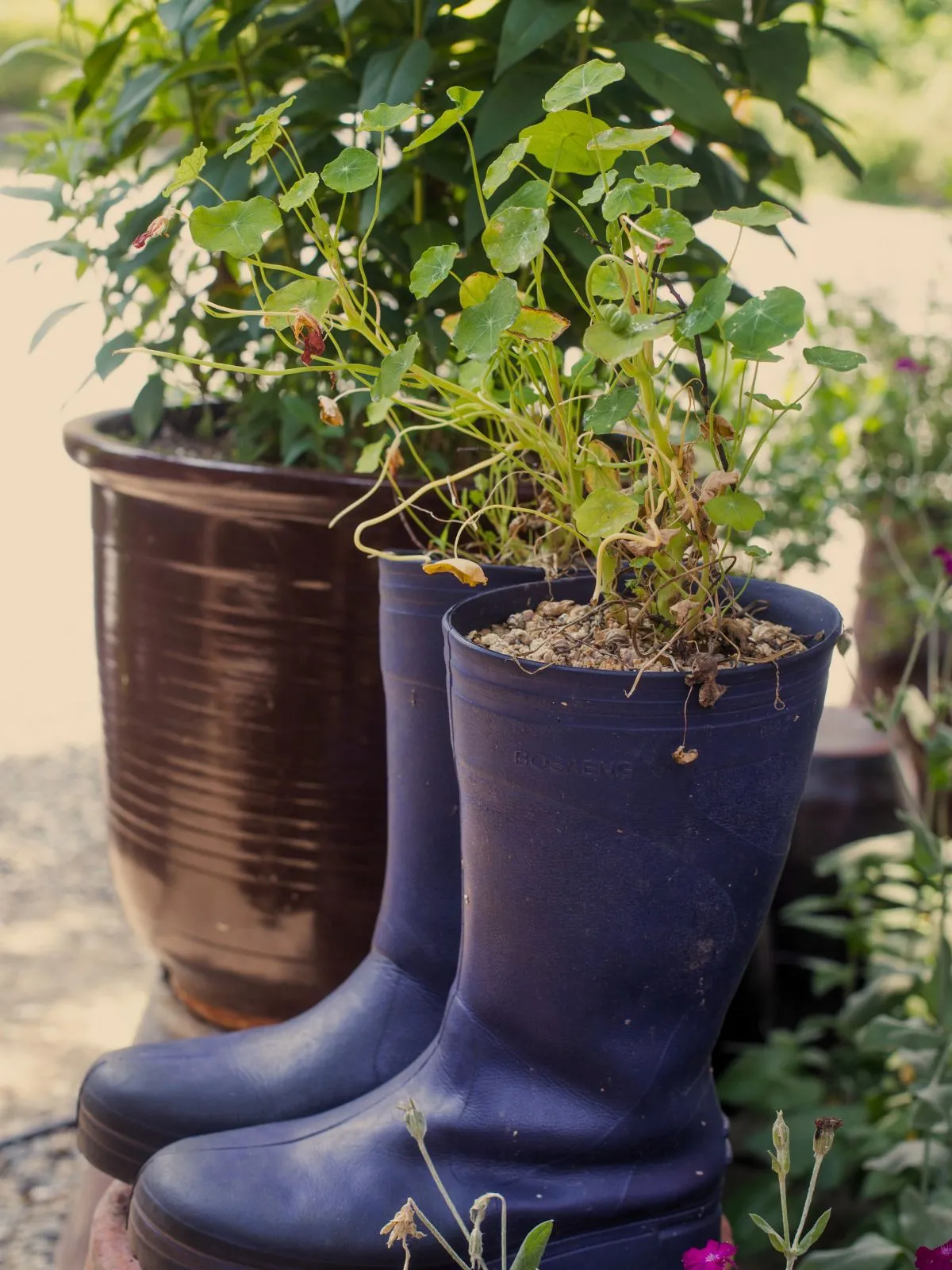 C'est une déco de jardin avec récup : une botte qui sert de pot de fleur