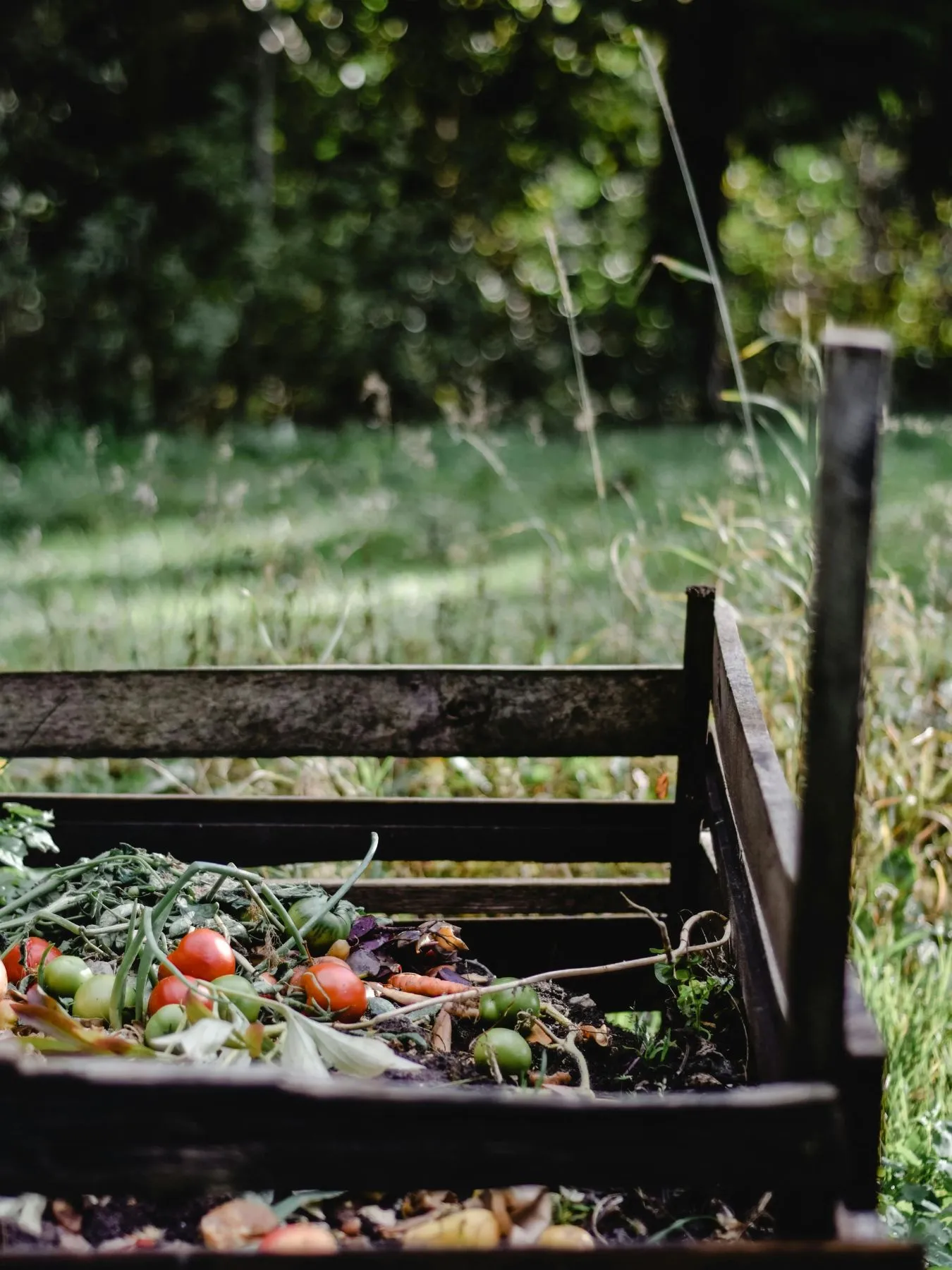 photo d'un bac à compost