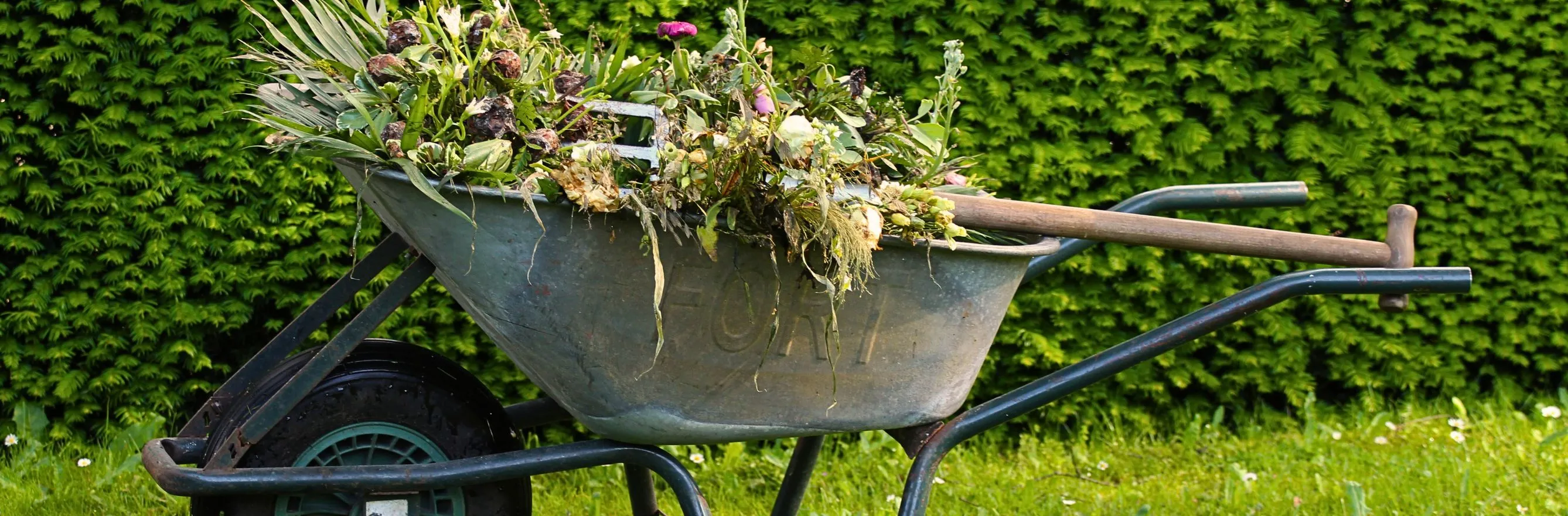 Comment désherber facilement son jardin ?