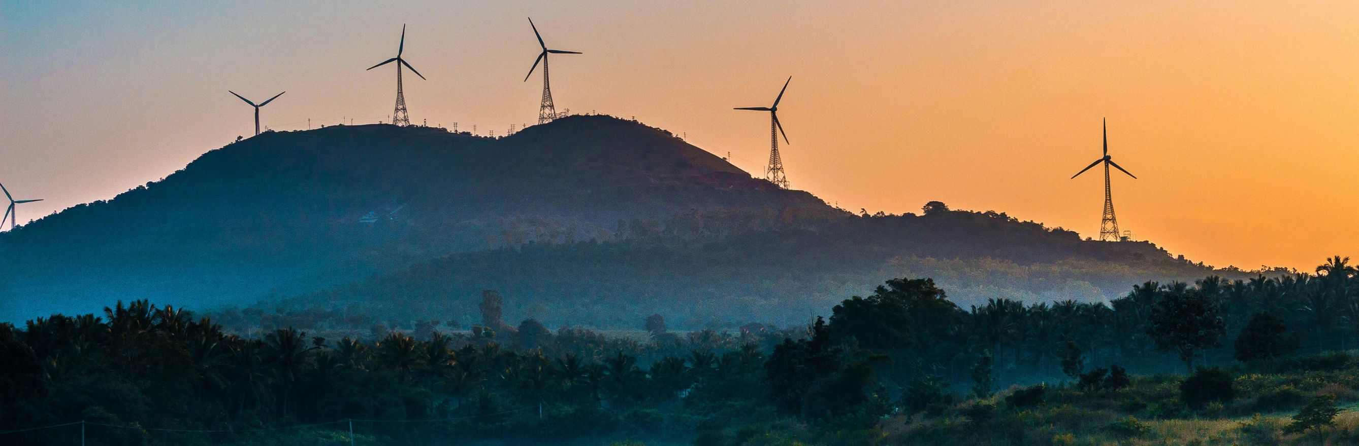 C'est la photo d'un paysage avec des éoliennes