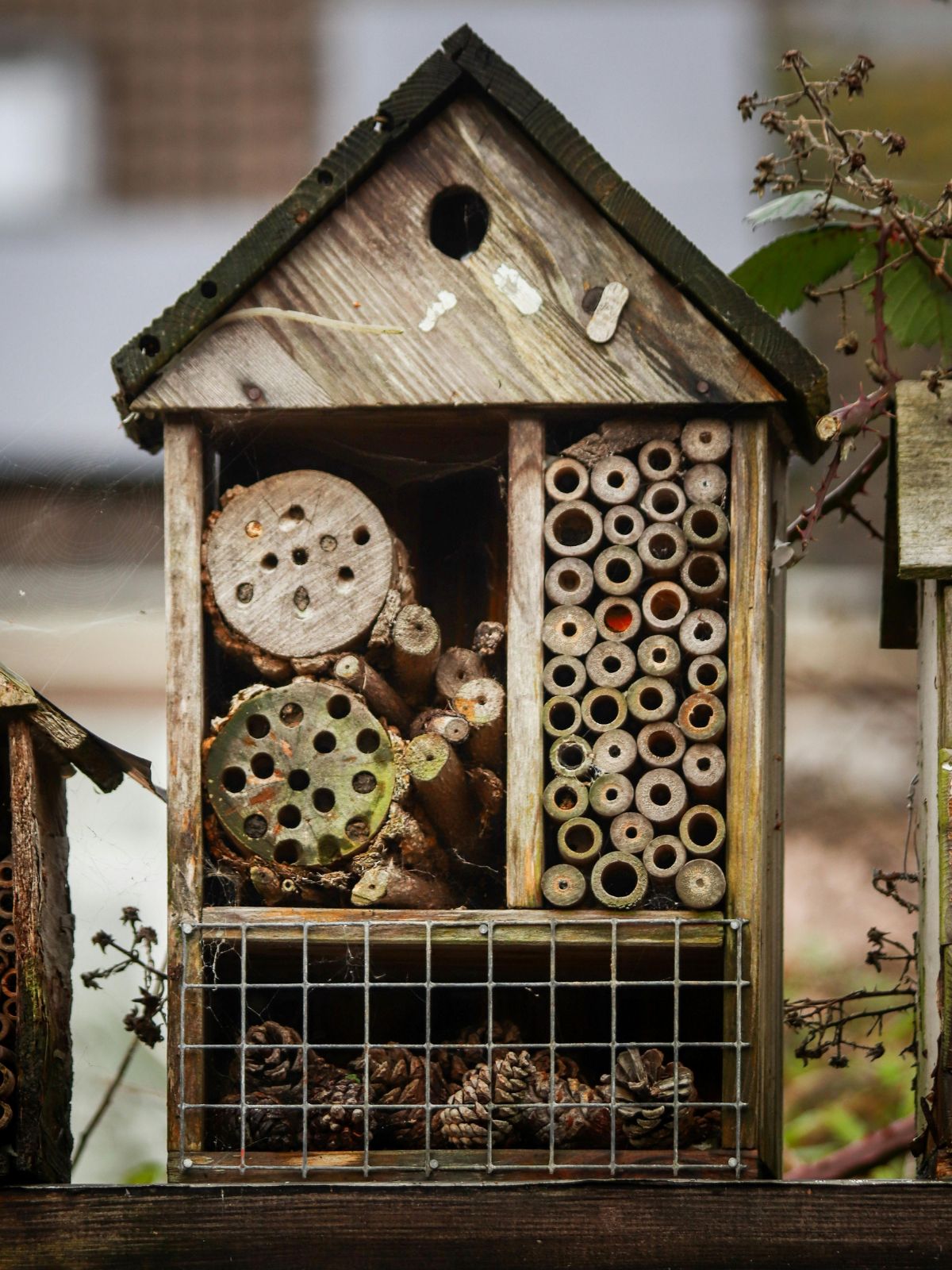 Hôtel à insecte