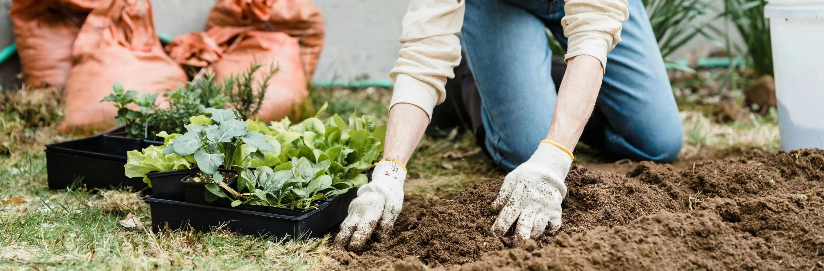 Tout savoir sur le compost au jardin