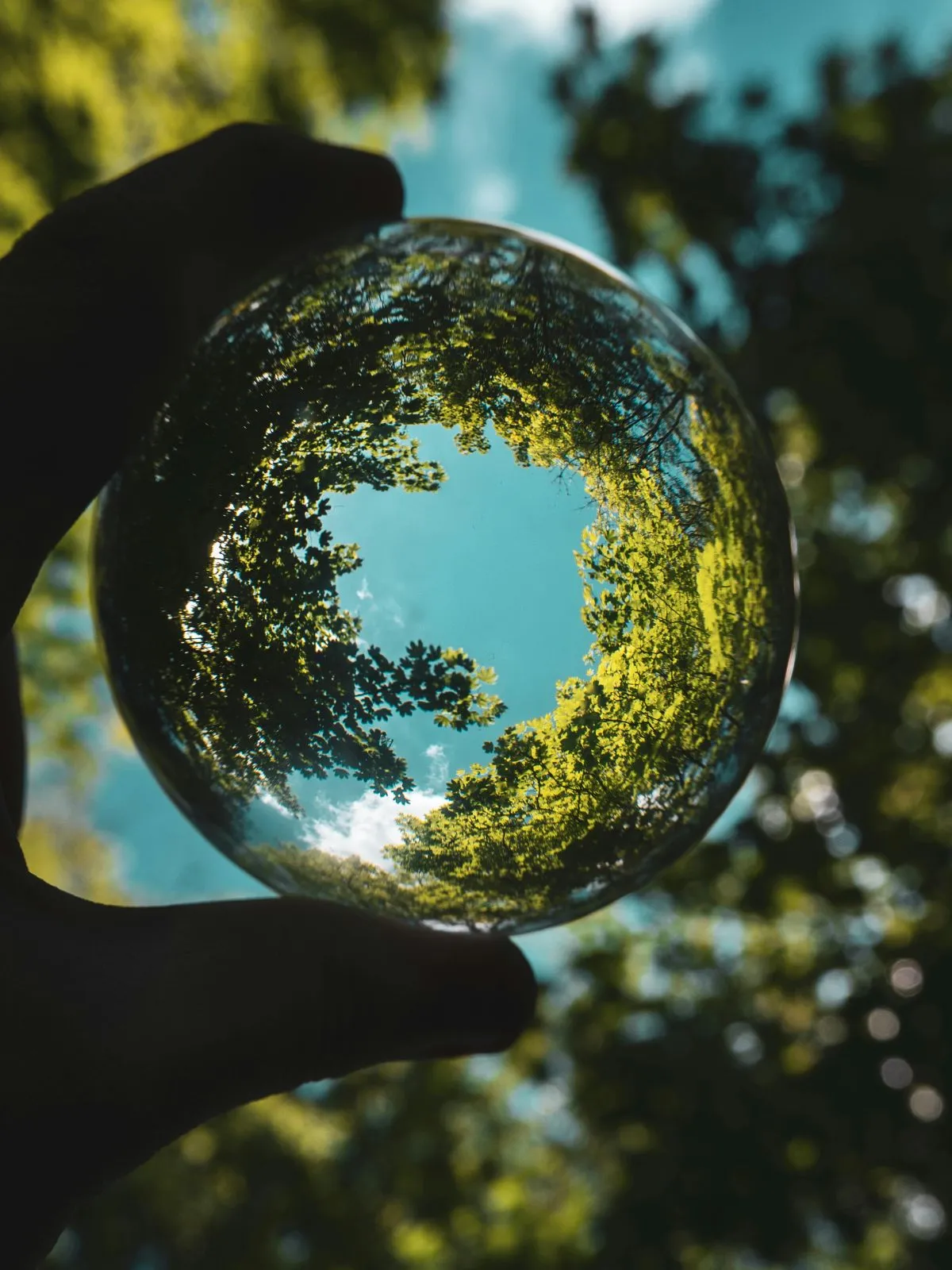 Forêt, biodiversité