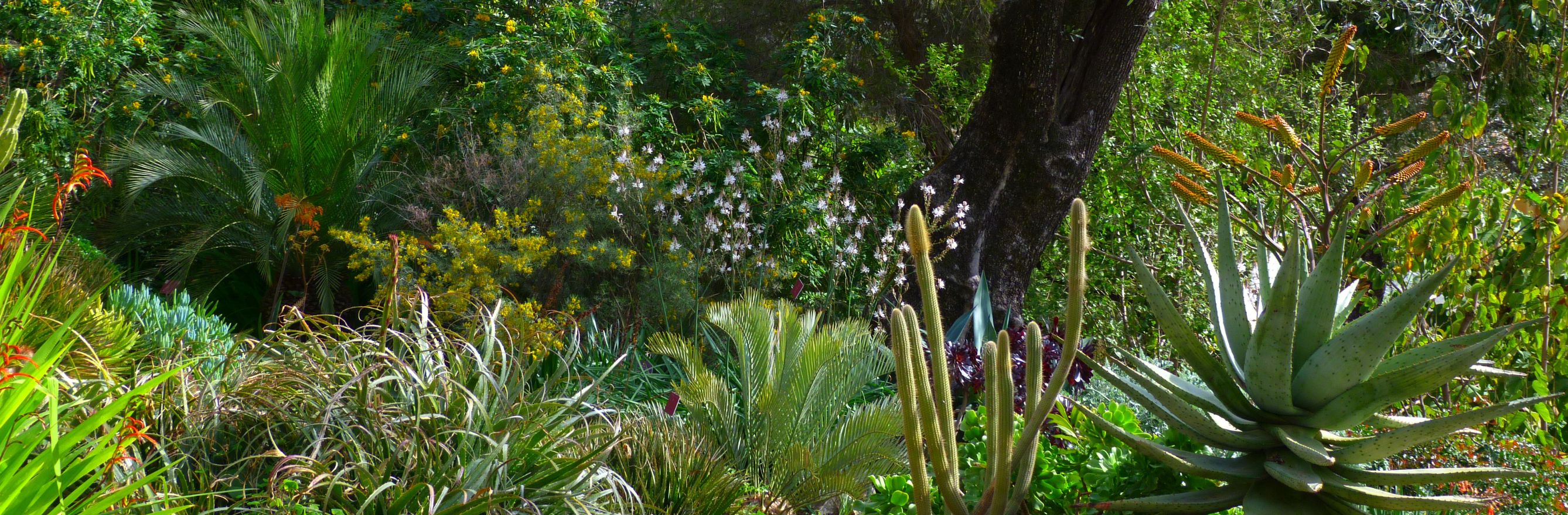 Jardin botanique Alpes-Maritimes