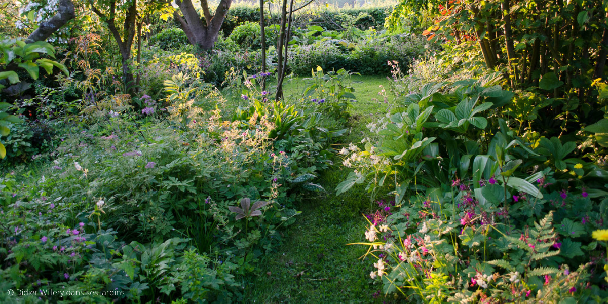 Comment Créer Un Jardin Sauvage