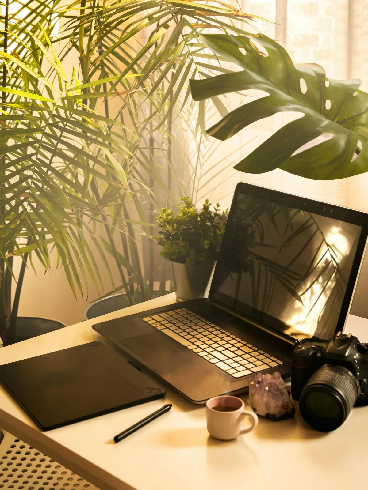 Plante sur bureau - les bienfaits