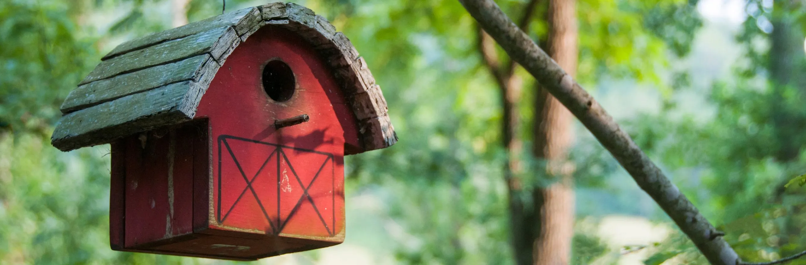 C'est un nichoir à oiseaux accroché à un arbre