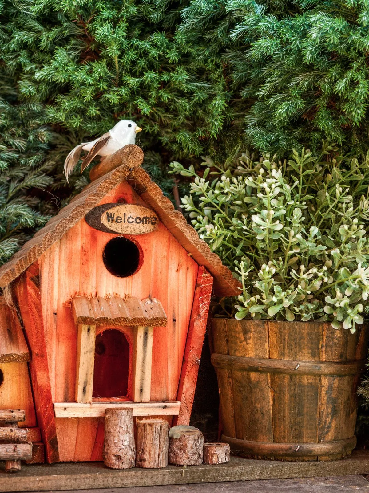 C'est la photo d'un nichoir à oiseaux en bois