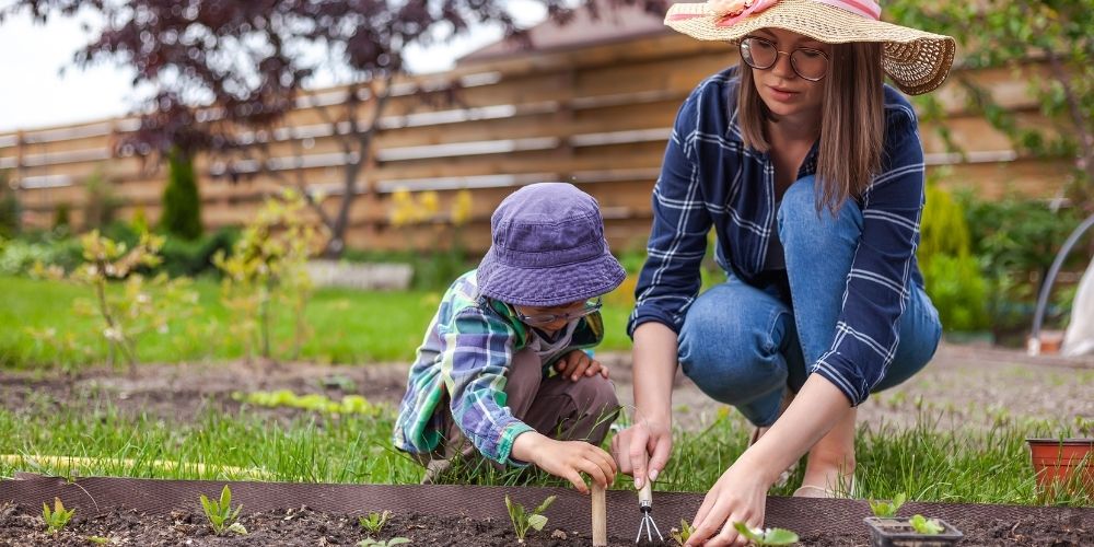 Jardinage en famille : Créer un potager avec les enfants – GRAFFITI