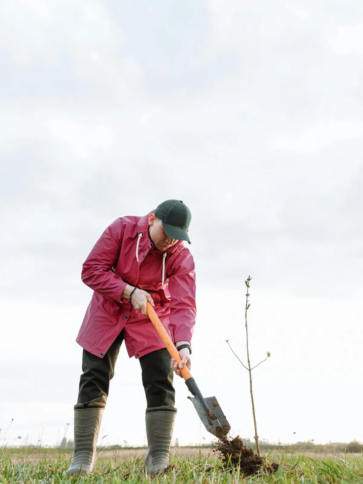 Choisir les bons outils pour semer des graines de fleurs