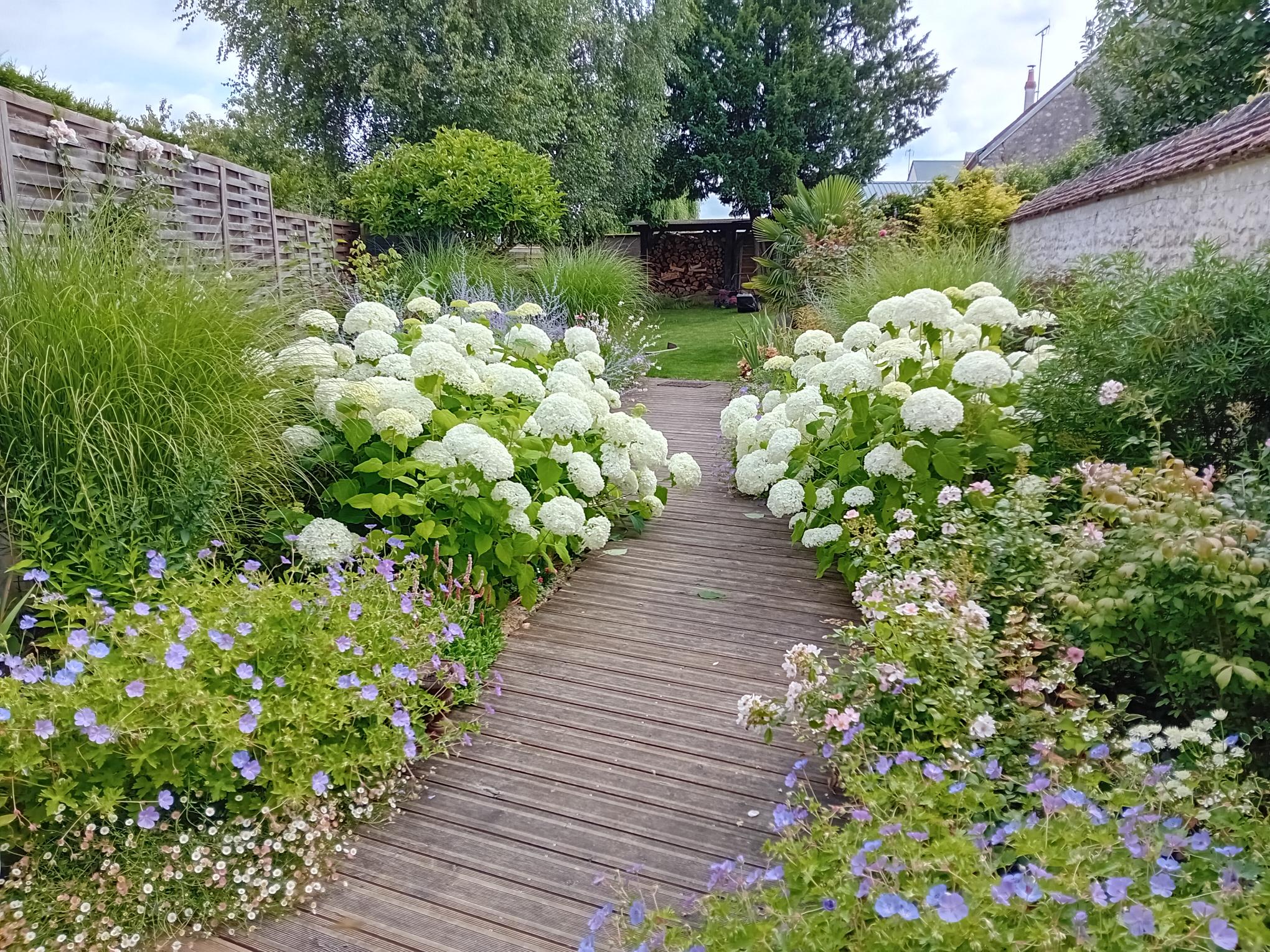 Réalisation avant après jardin nature libre Orléans apres 1 an