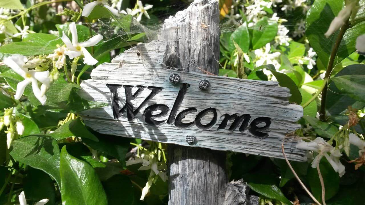 old wooden sign with the word 'welcome' in the middle of plants with white flowers