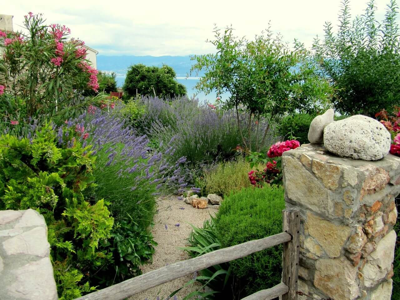 view of the Mediterranean Sea with in the foreground a garden planted with oleanders, lavender and thujas.