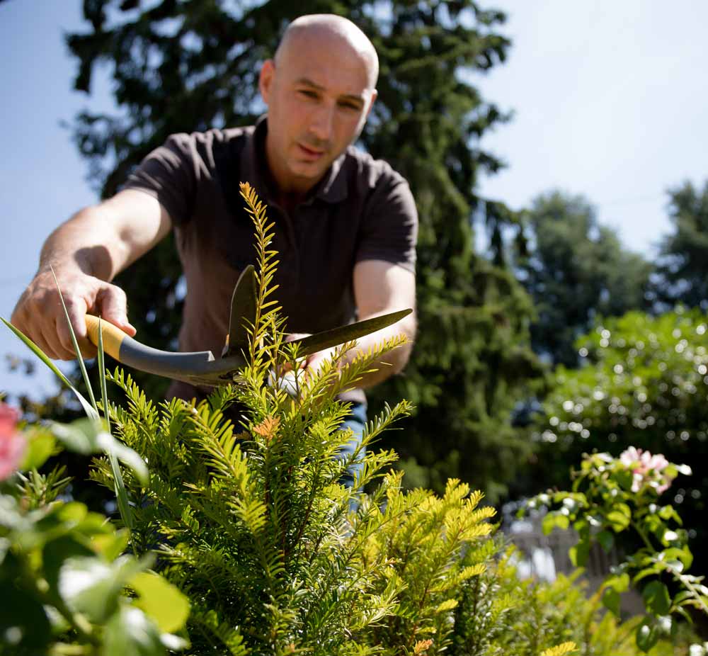 Man carving a yew from the Garden Nature and Structure