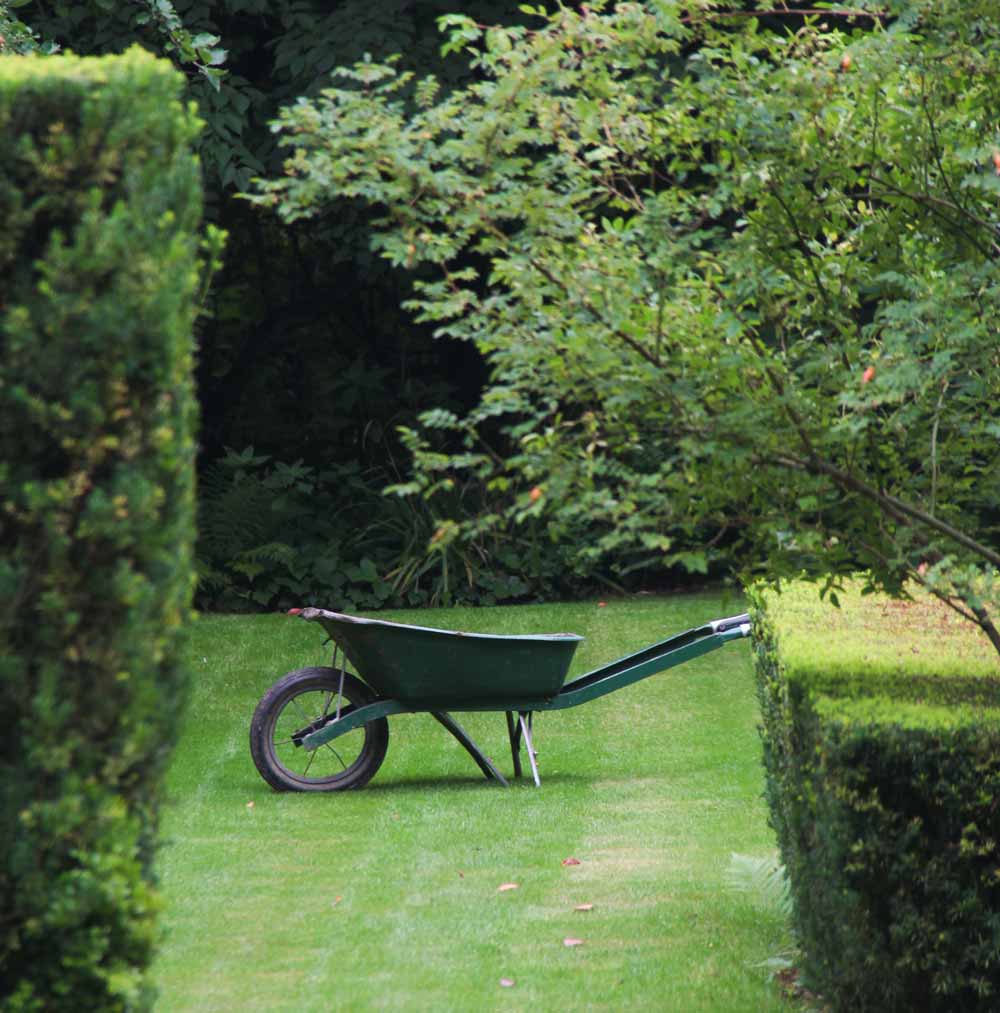 Wheelbarrow in a nature and Structure garden by Draw Me A Garden