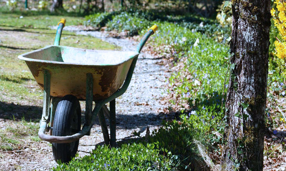 photo of a wheelbarrow on a green alley surrounded by trees